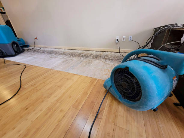 Professional Ceiling Water Damage Repair technician working in Irving, TX